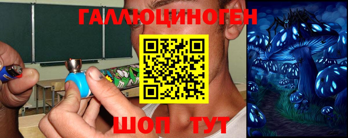Галлюциногенные грибы Cubensis  Вход с VPN  Апрелевка 